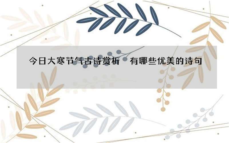 今日大寒节气古诗赏析 有哪些优美的诗句